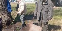 Čistenie okolia stromov, aby lepšie prijímali vodu a vzduch